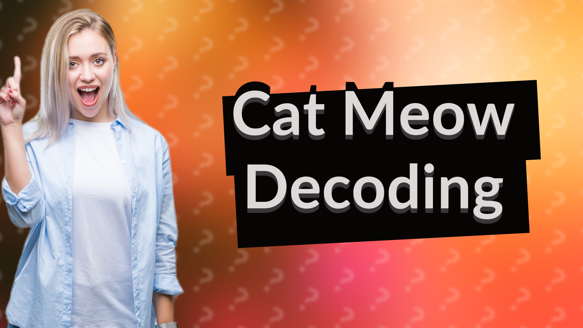 Cat Meow Decoding