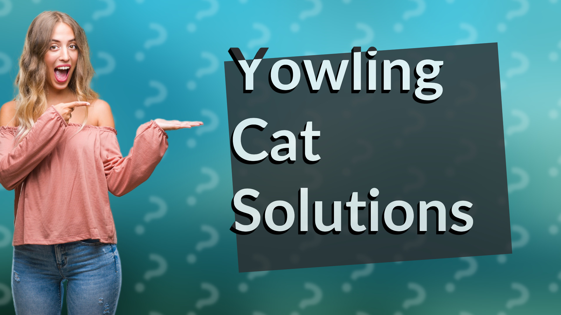 Yowling Cat Solutions