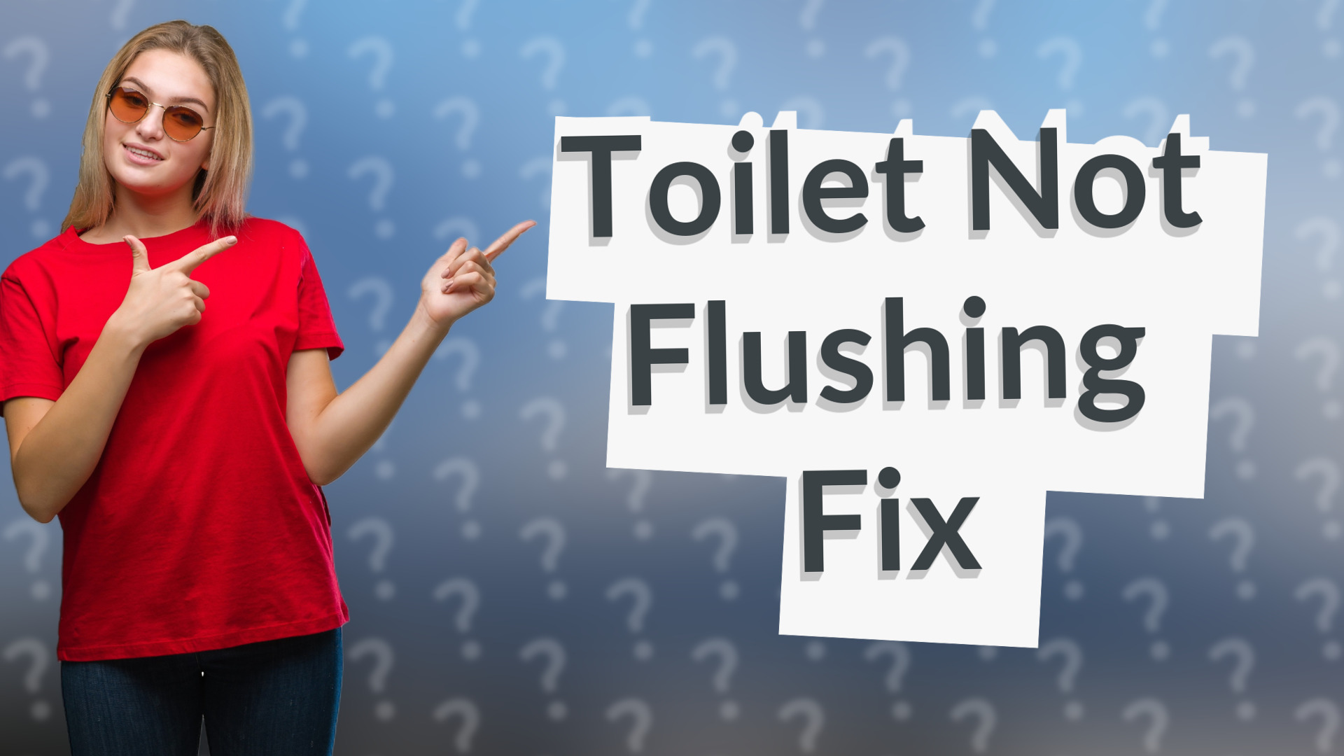 Toilet Not Flushing Fix