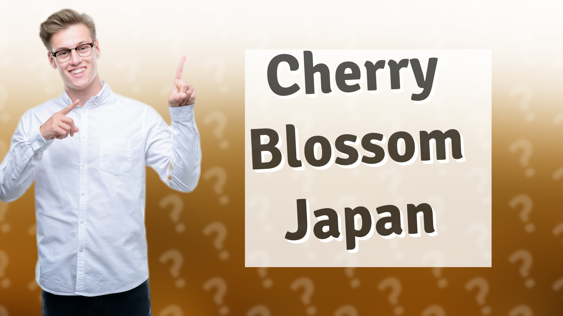 Cherry Blossom Japan