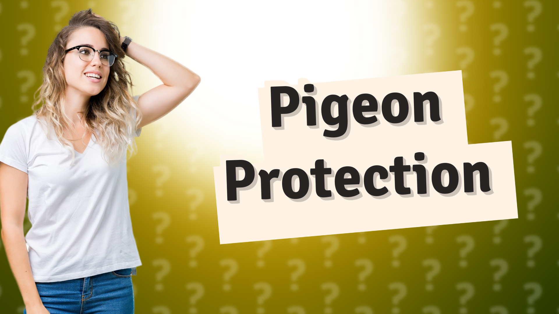 Pigeon Protection