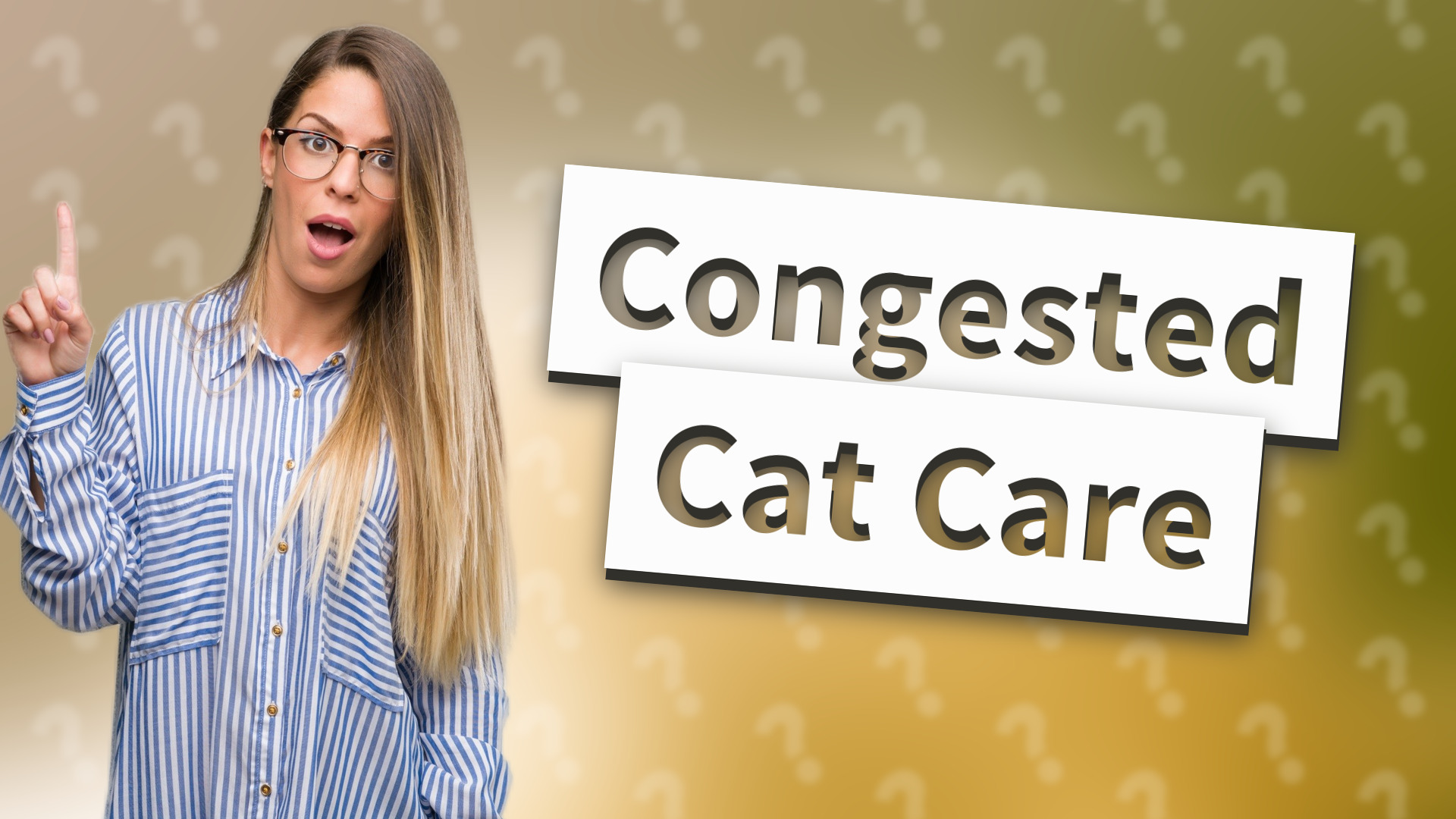 Congested Cat Care