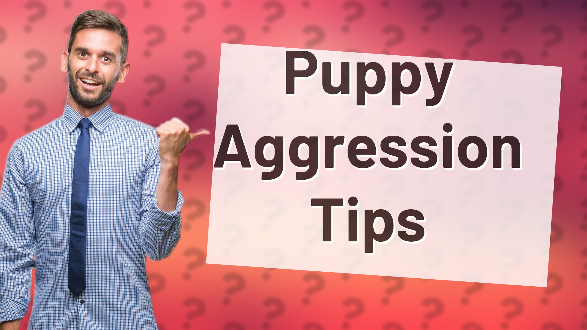 Puppy Aggression Tips
