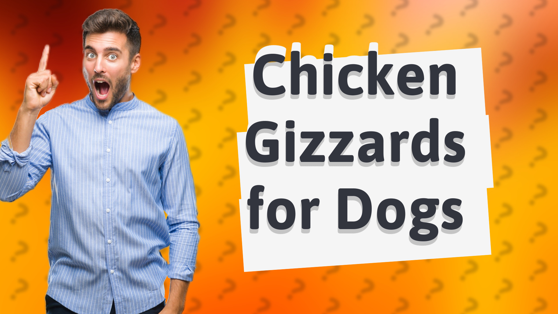 Chicken Gizzards for Dogs