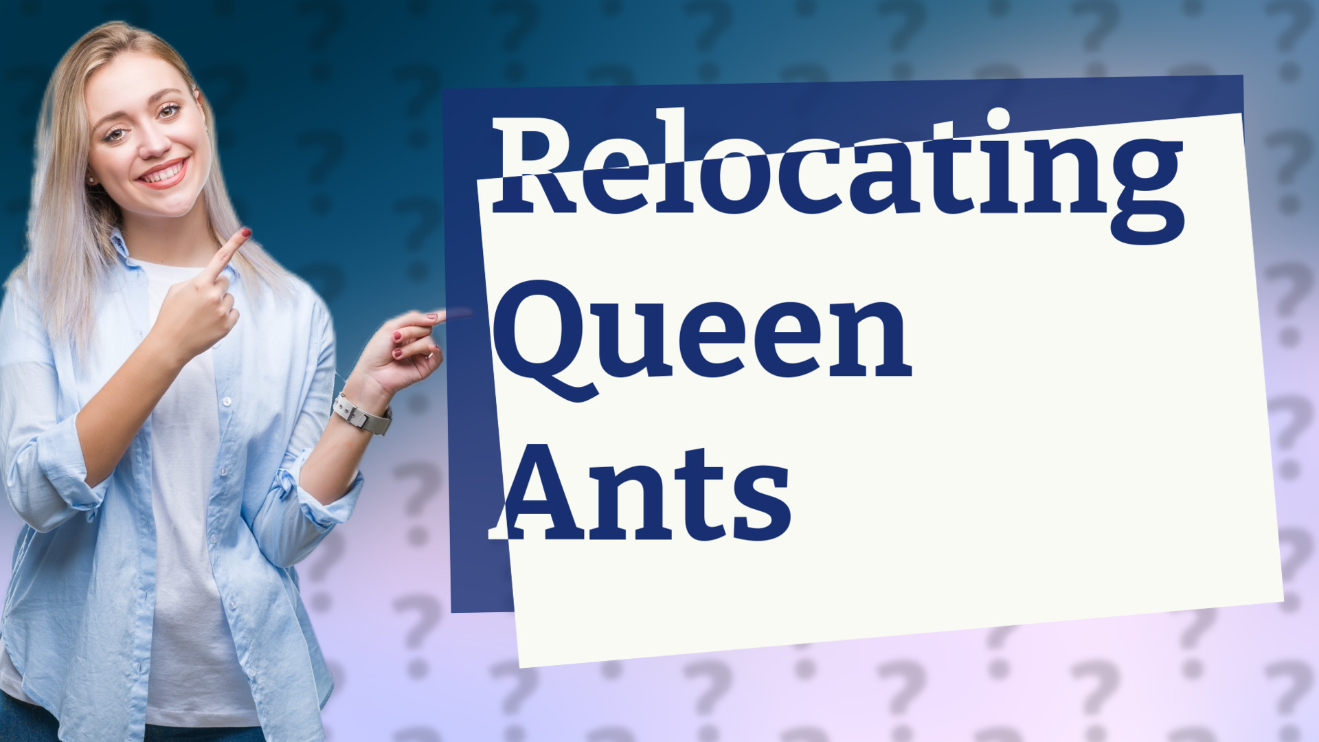 Relocating Queen Ants