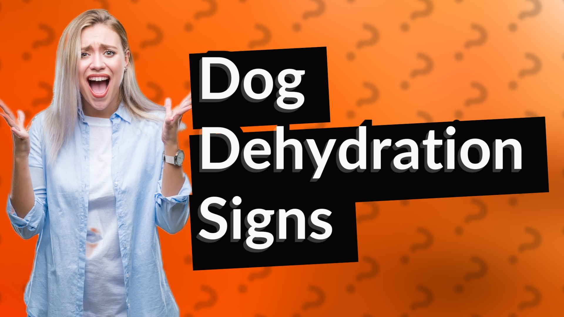 Dog Dehydration Signs