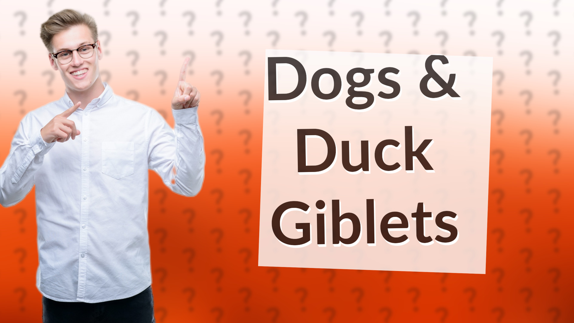 Dogs & Duck Giblets