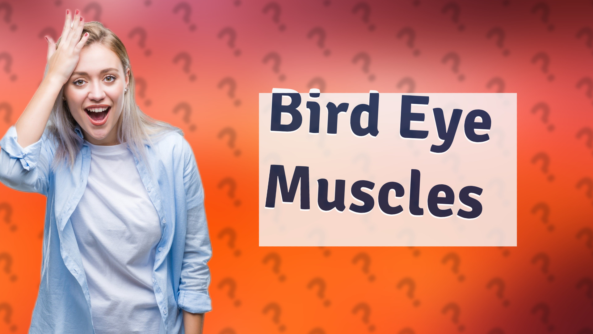 Bird Eye Muscles