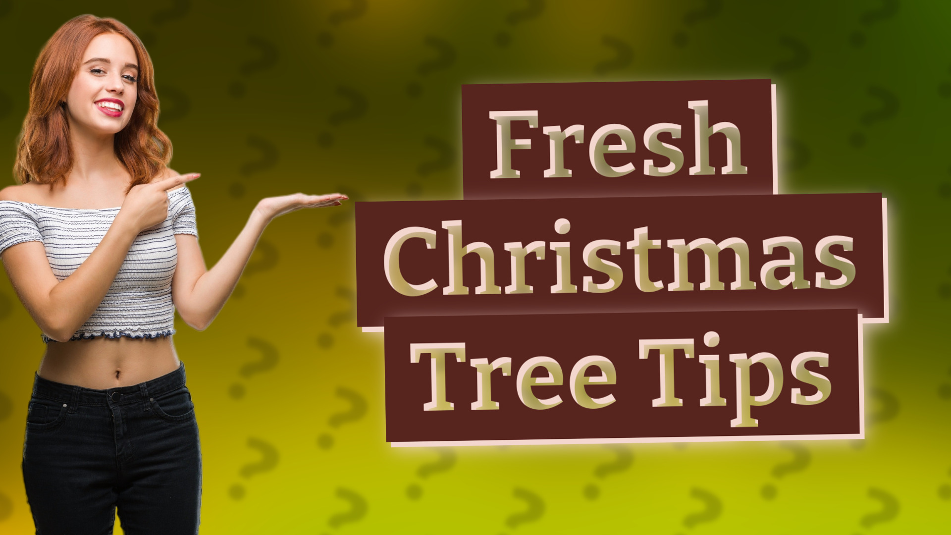 Fresh Christmas Tree Tips