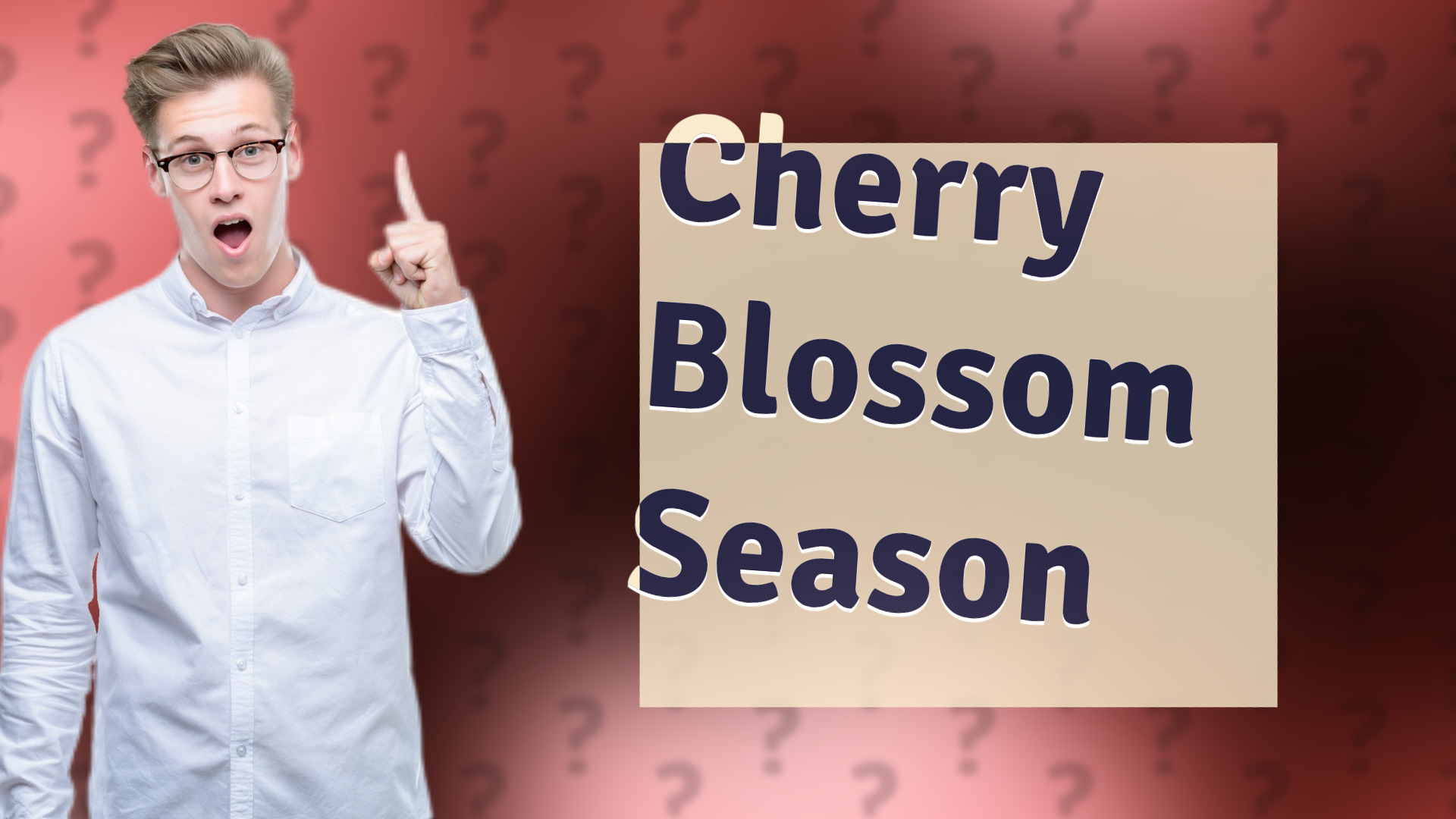 Cherry Blossom Season