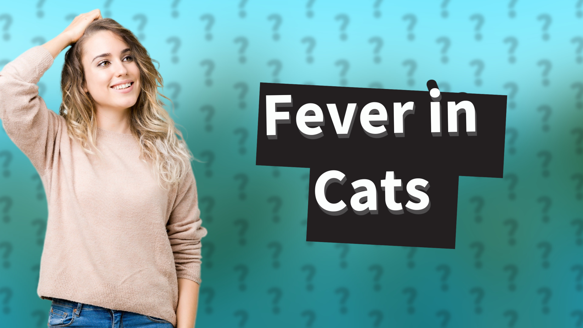 Fever in Cats