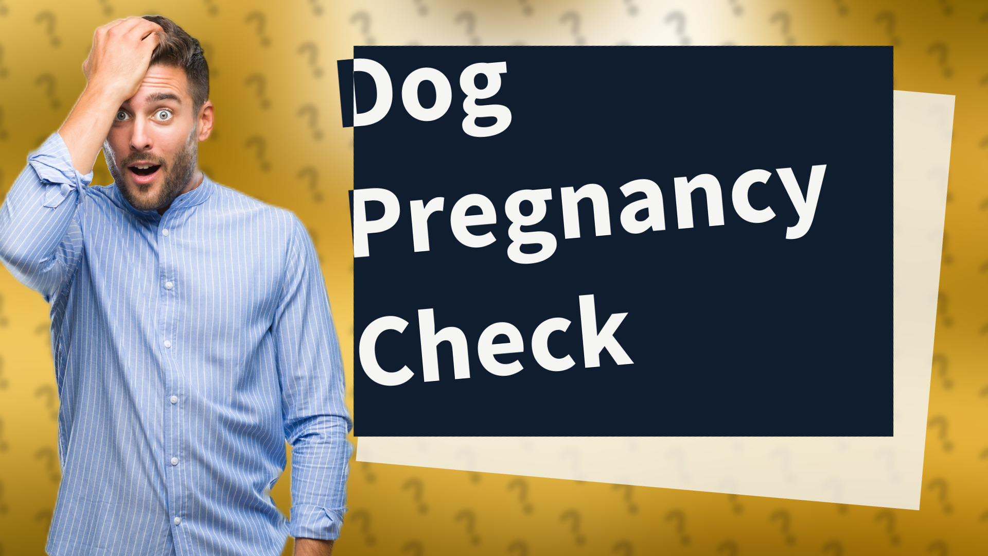 Dog Pregnancy Check