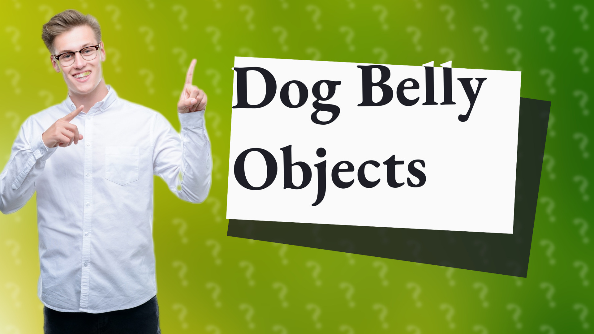 Dog Belly Objects