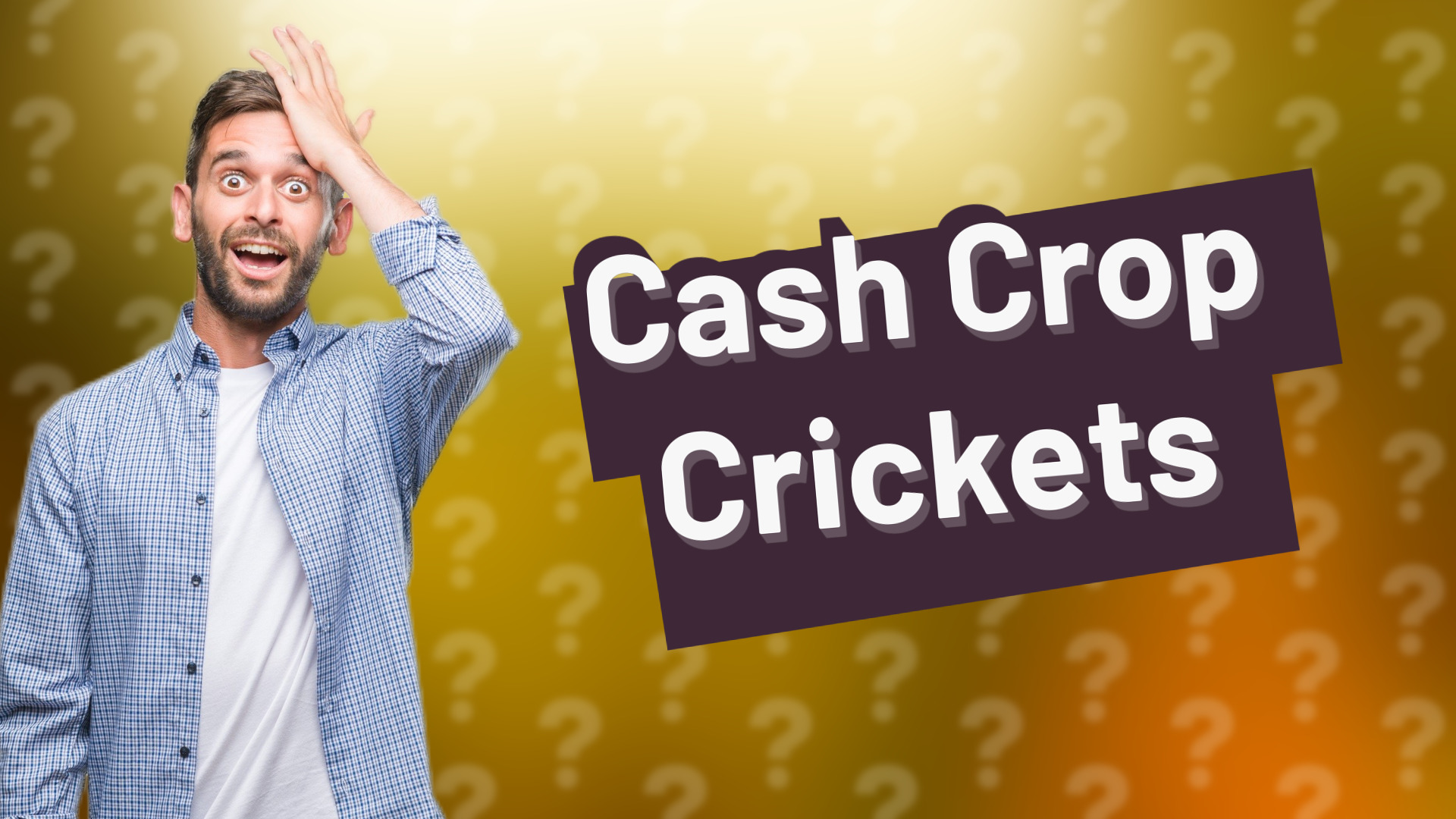 Cash Crop Crickets