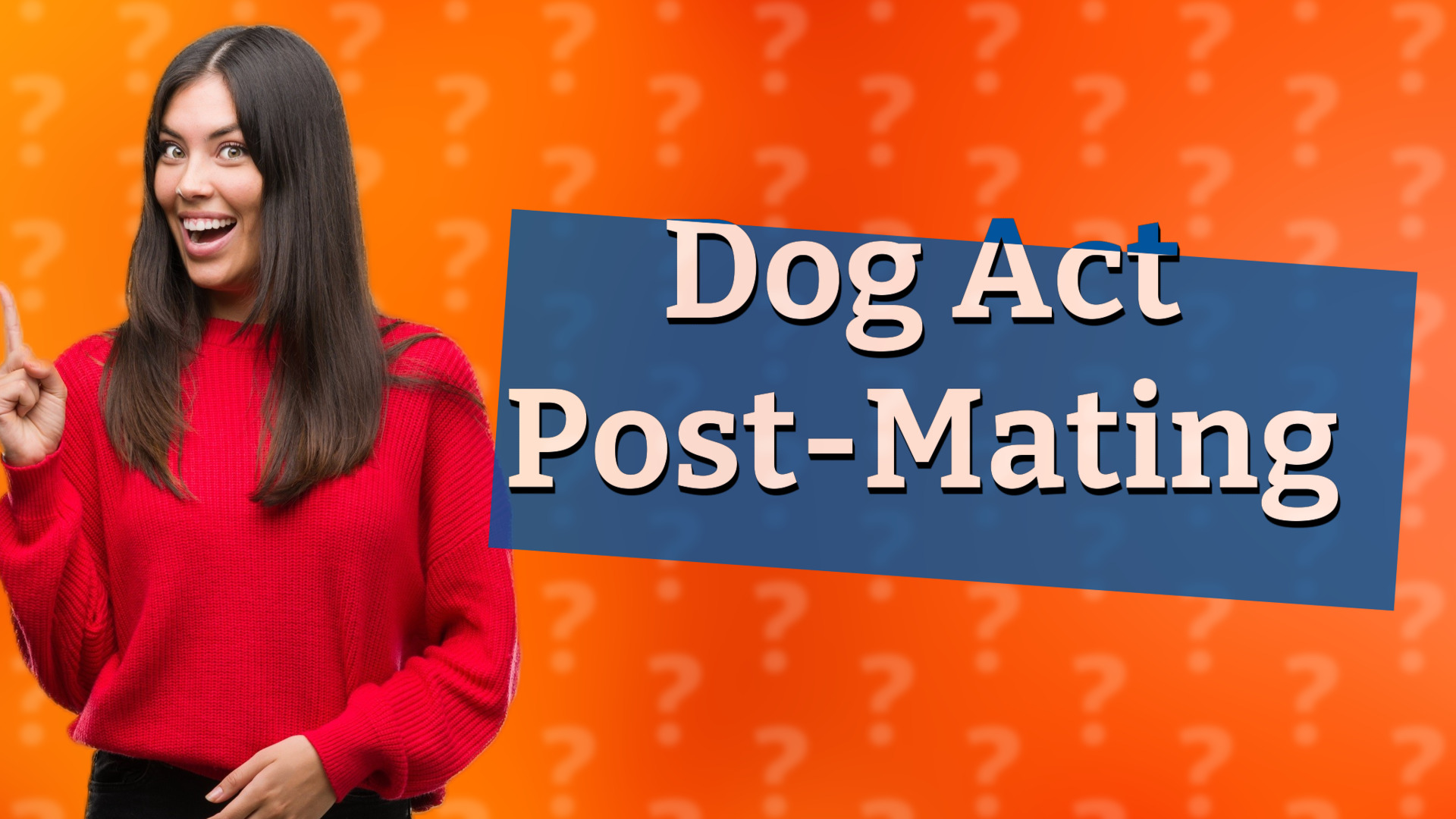 Dog Act Post-Mating