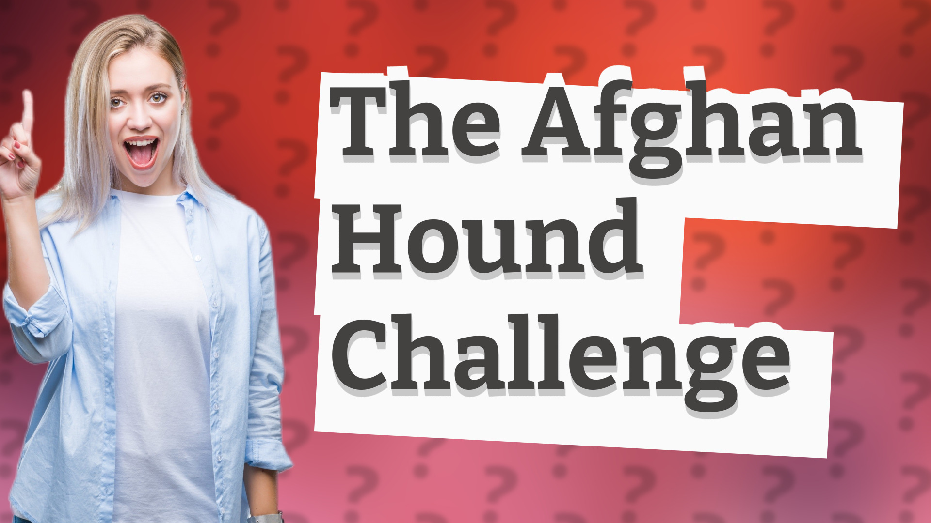 The Afghan Hound Challenge