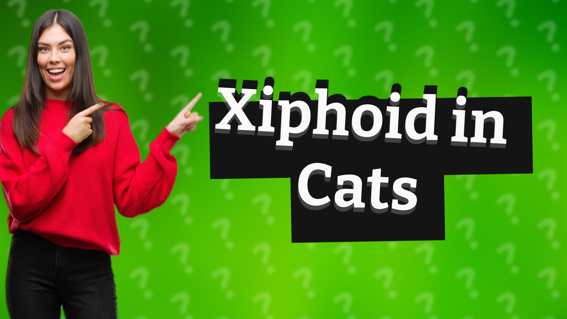 Xiphoid in Cats