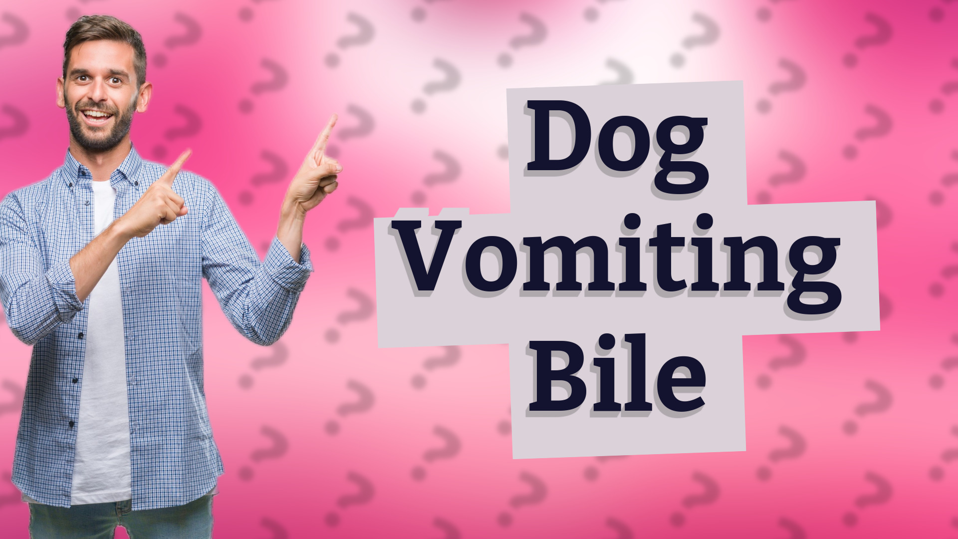 Dog Vomiting Bile