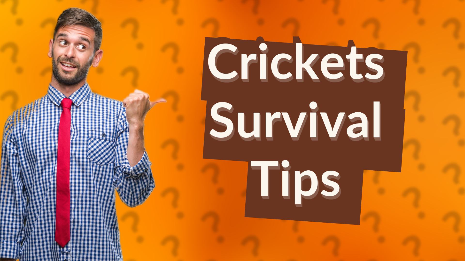 Crickets Survival Tips