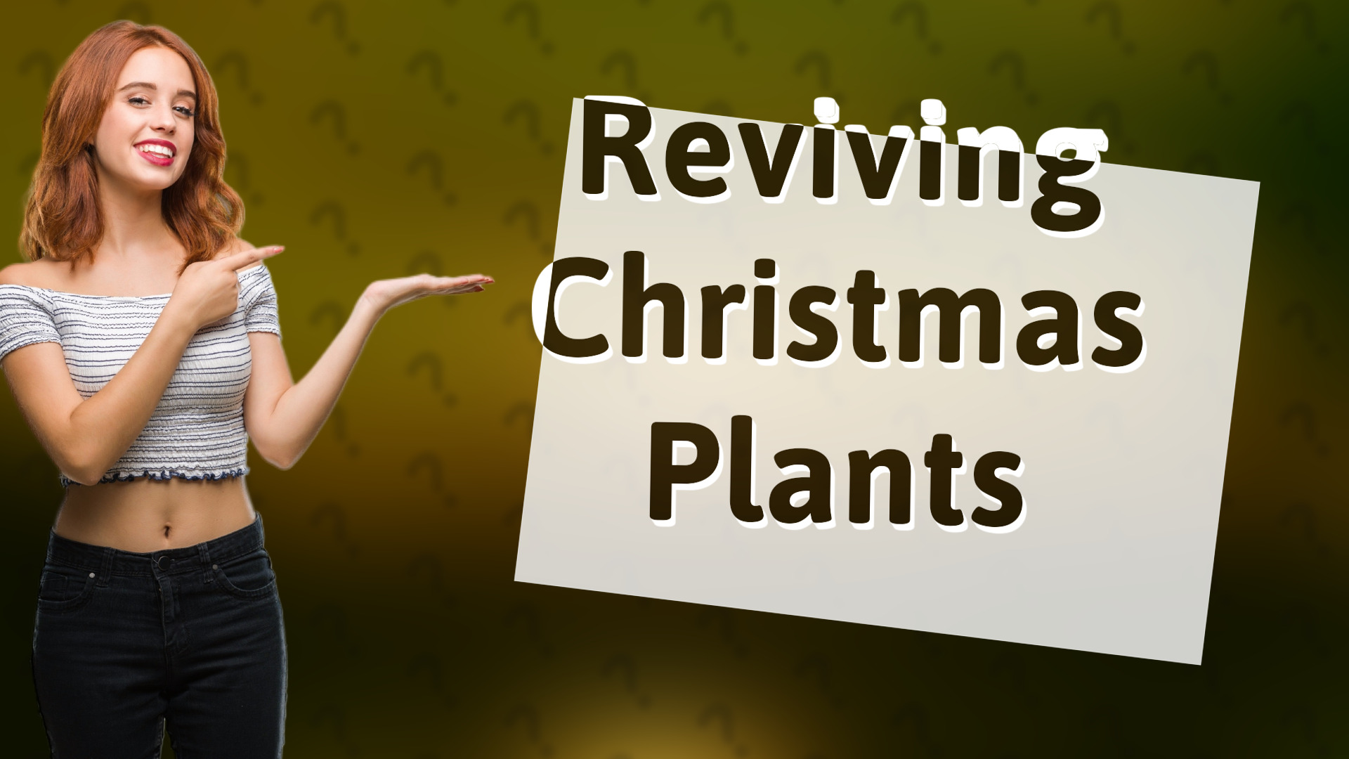 Reviving Christmas Plants