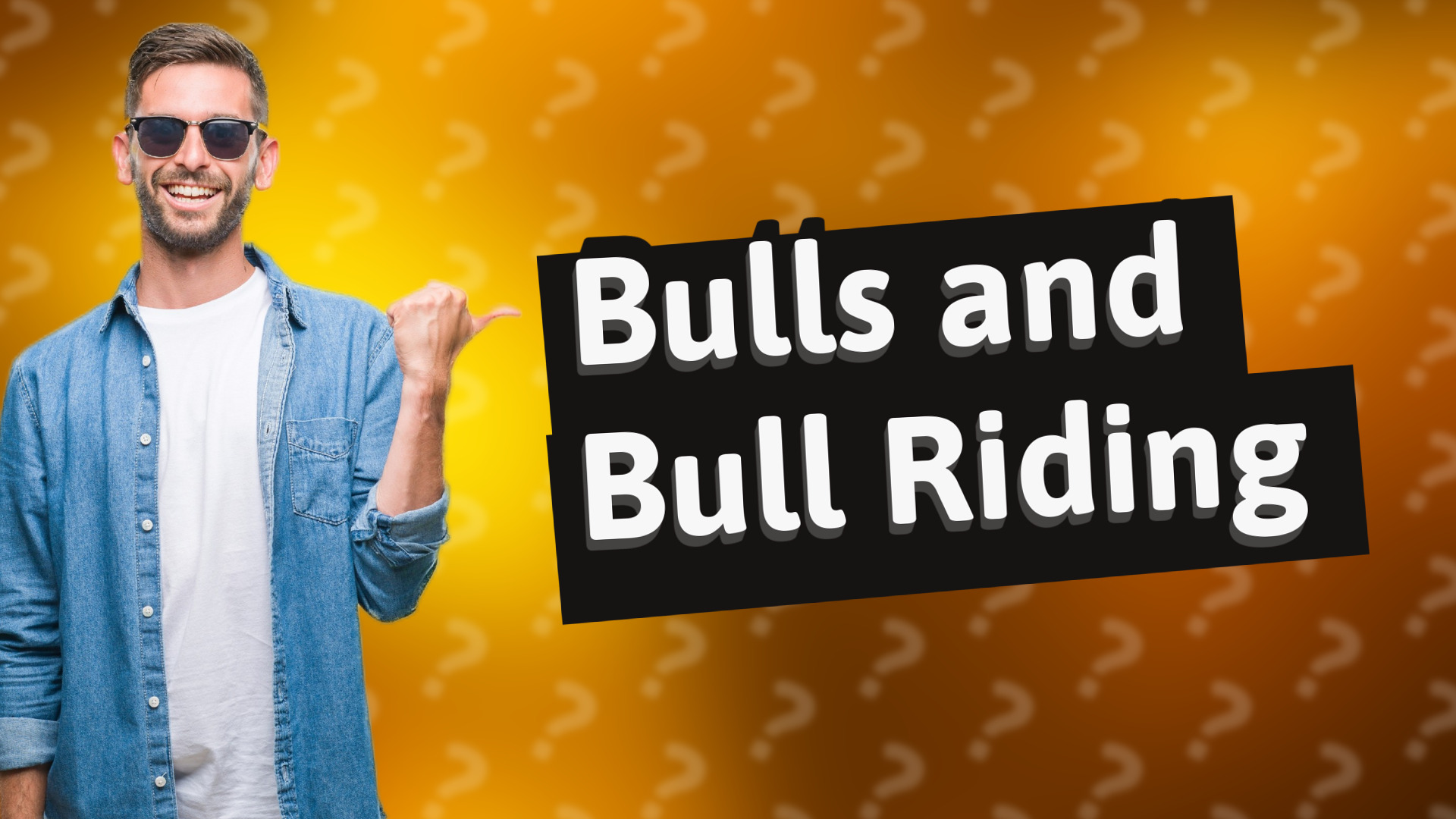 Bulls and Bull Riding