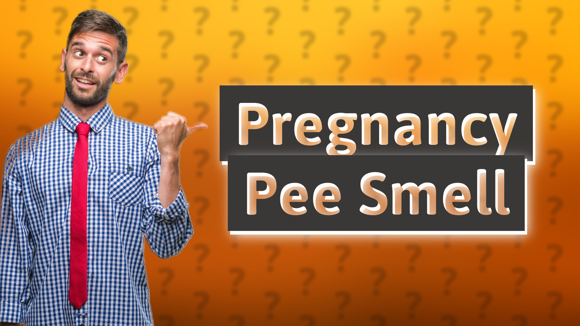 Pregnancy Pee Smell