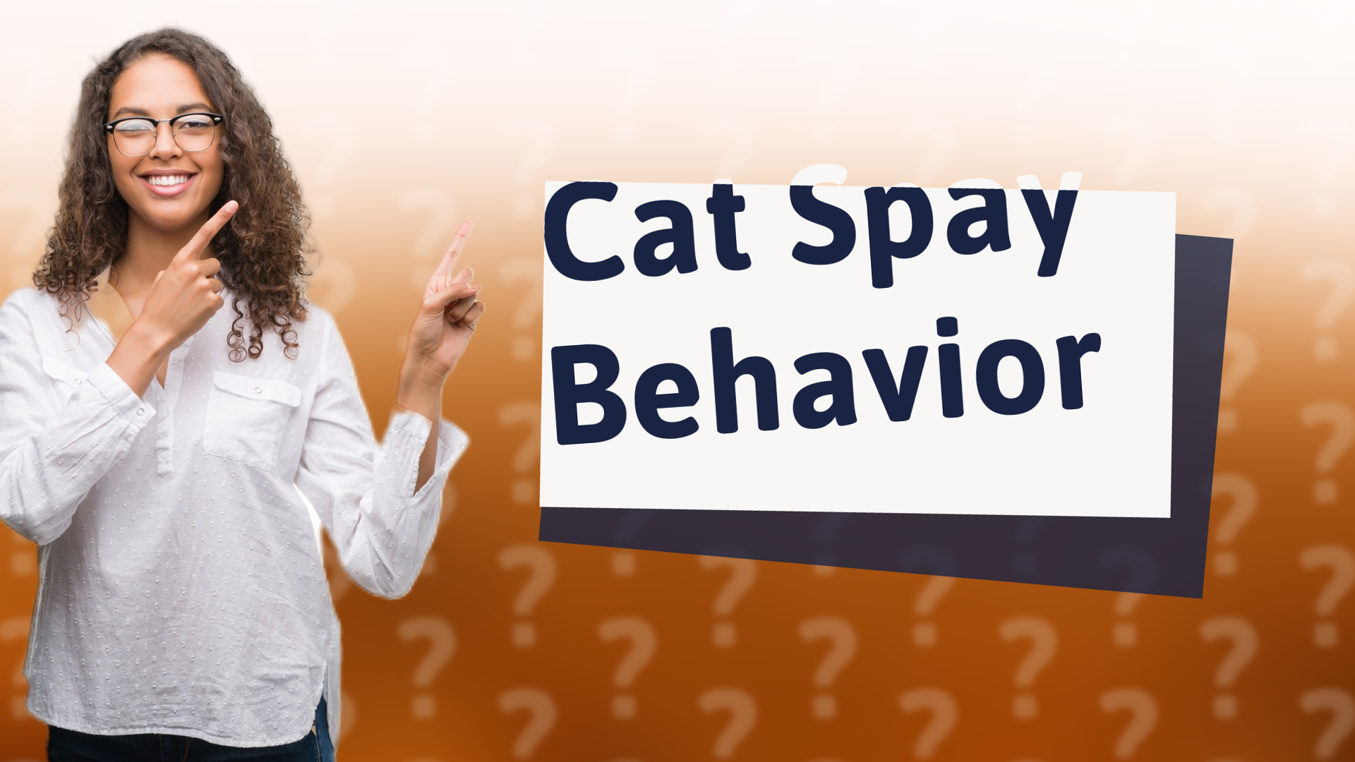 Cat Spay Behavior