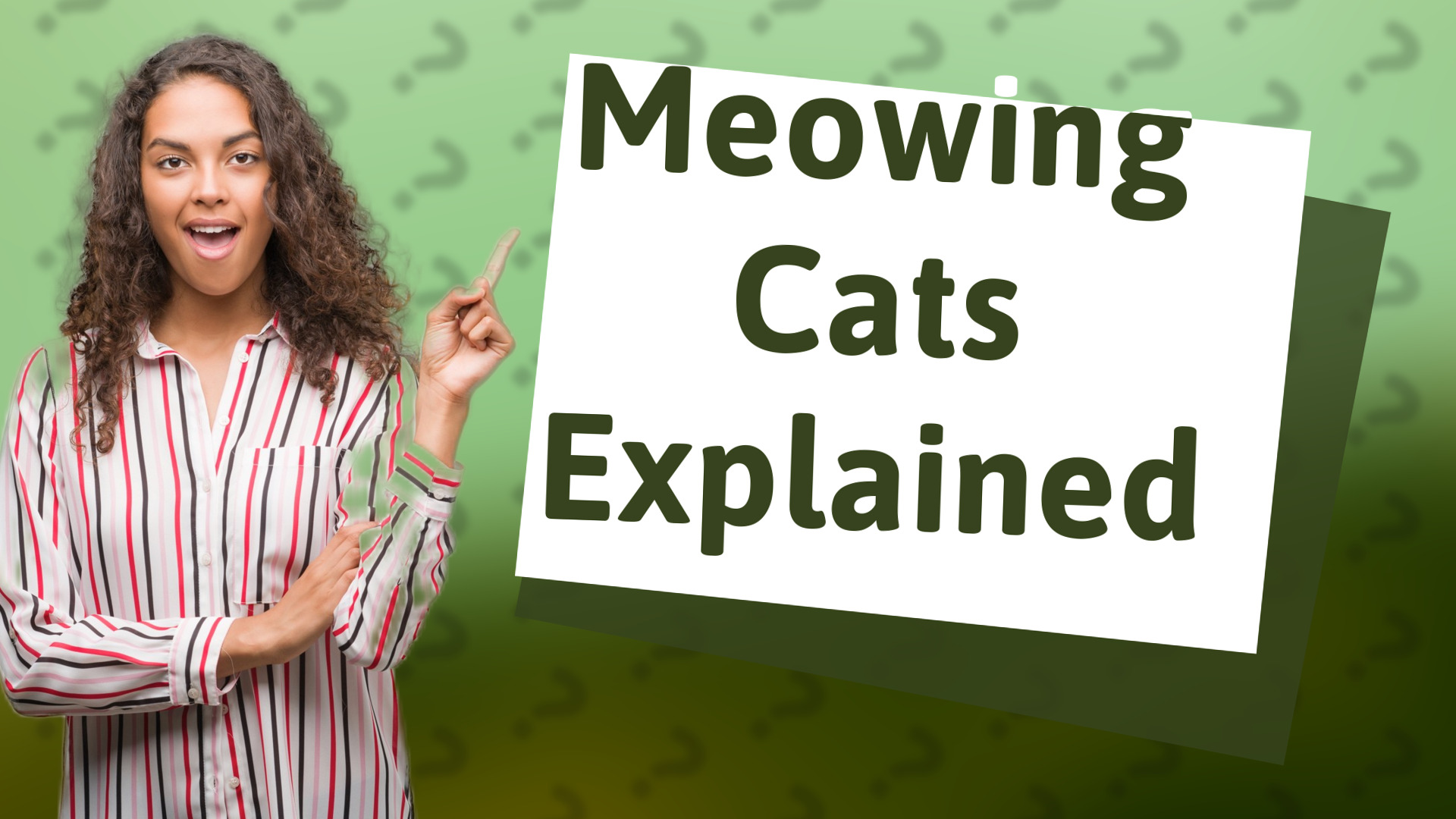 Meowing Cats Explained