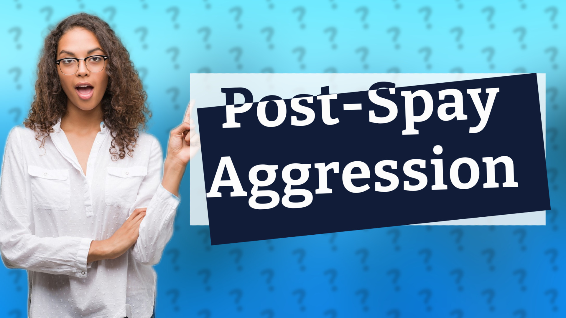 Post-Spay Aggression