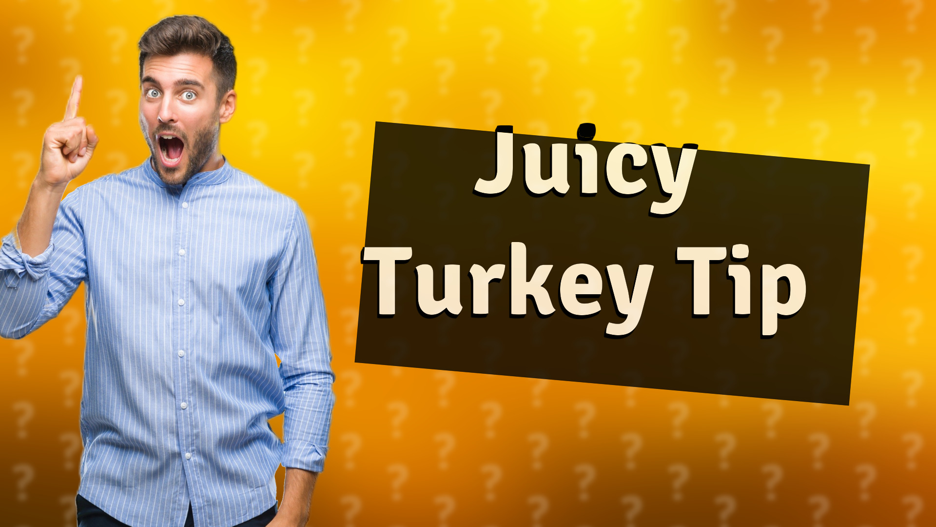Juicy Turkey Tip