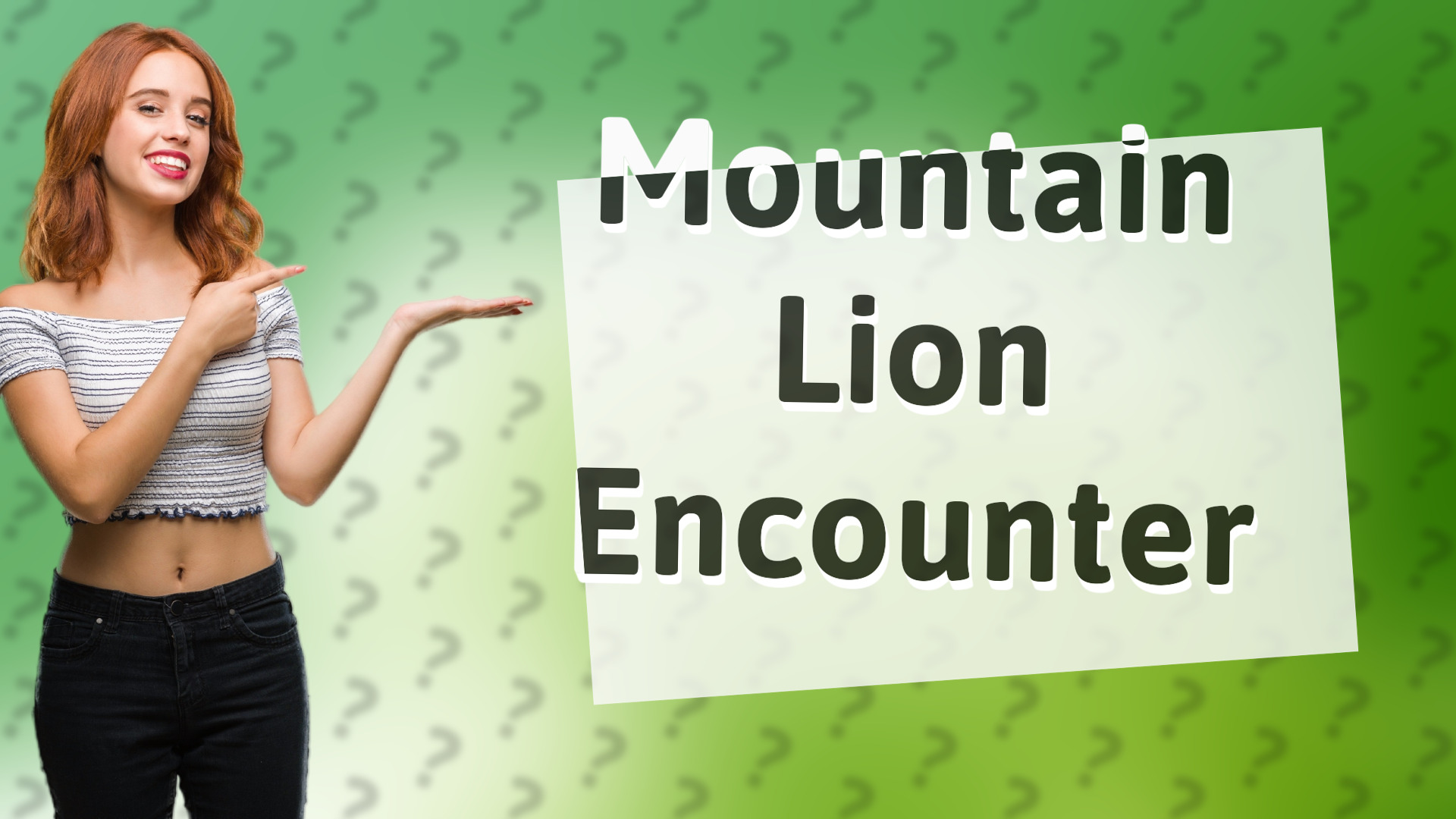 Mountain Lion Encounter