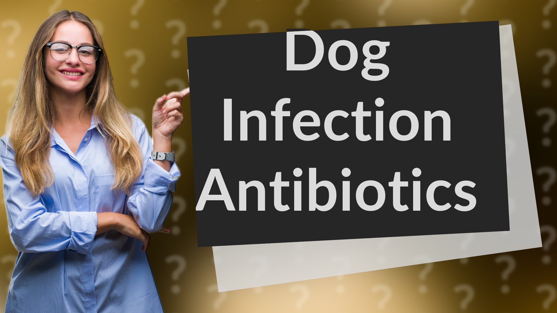 Dog Infection Antibiotics