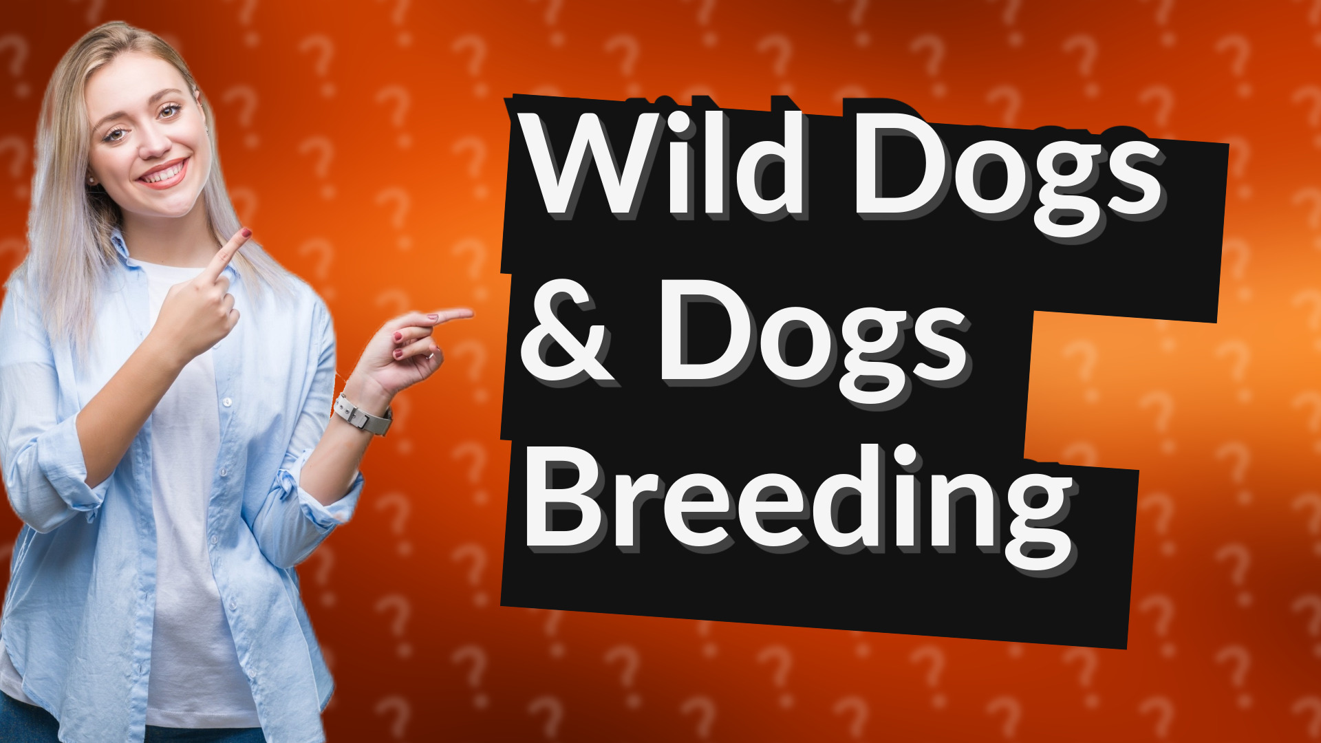 Wild Dogs & Dogs Breeding