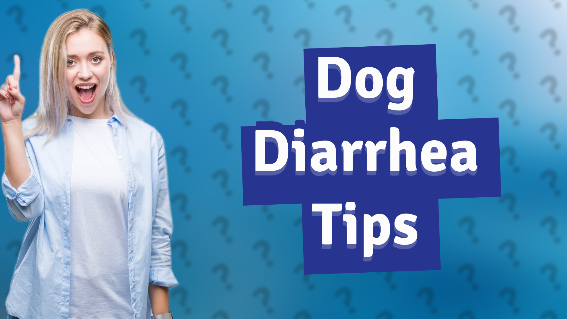 Dog Diarrhea Tips