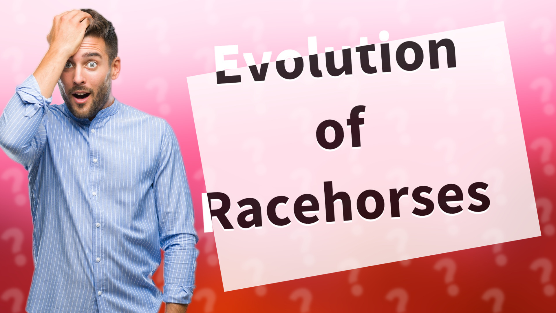 Evolution of Racehorses