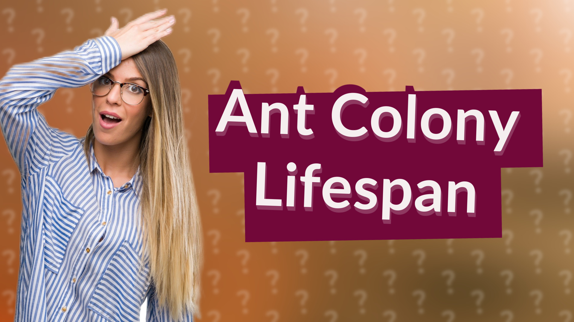 Ant Colony Lifespan