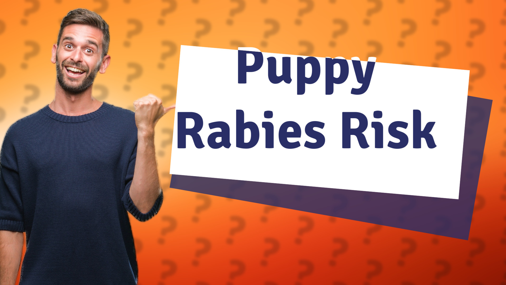 Puppy Rabies Risk