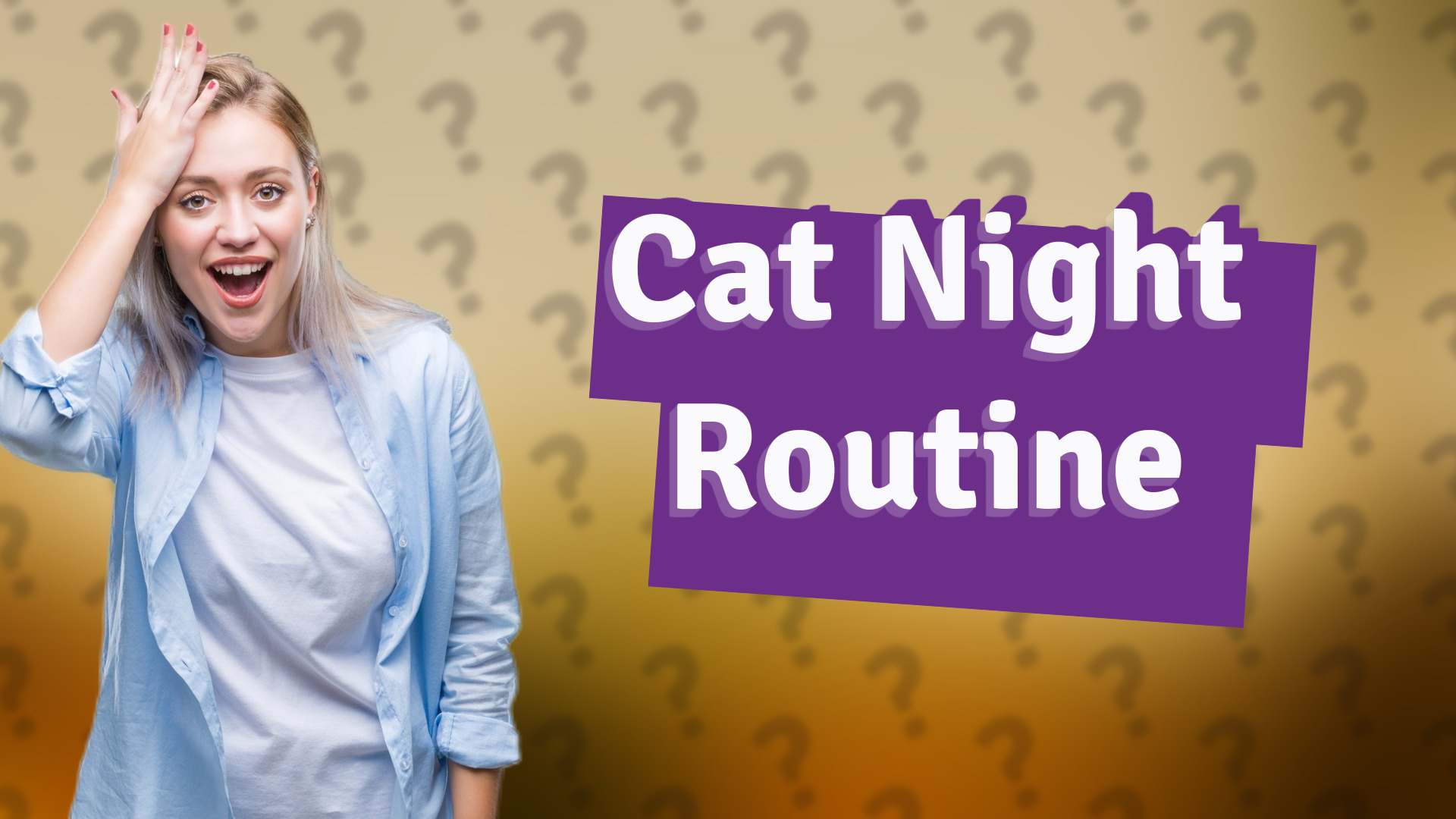 Cat Night Routine