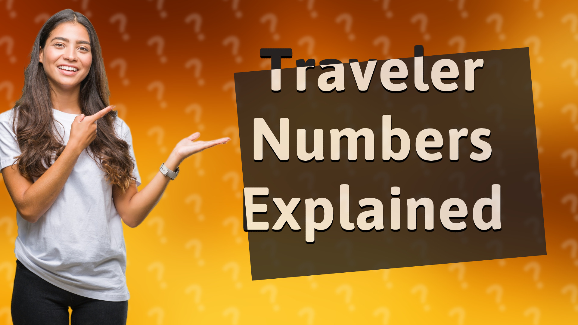Traveler Numbers Explained