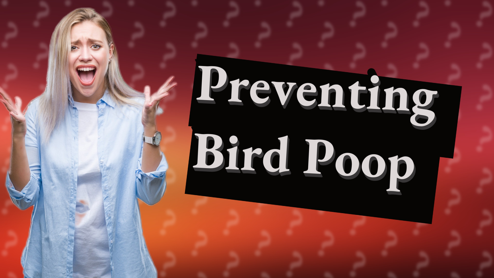 Preventing Bird Poop