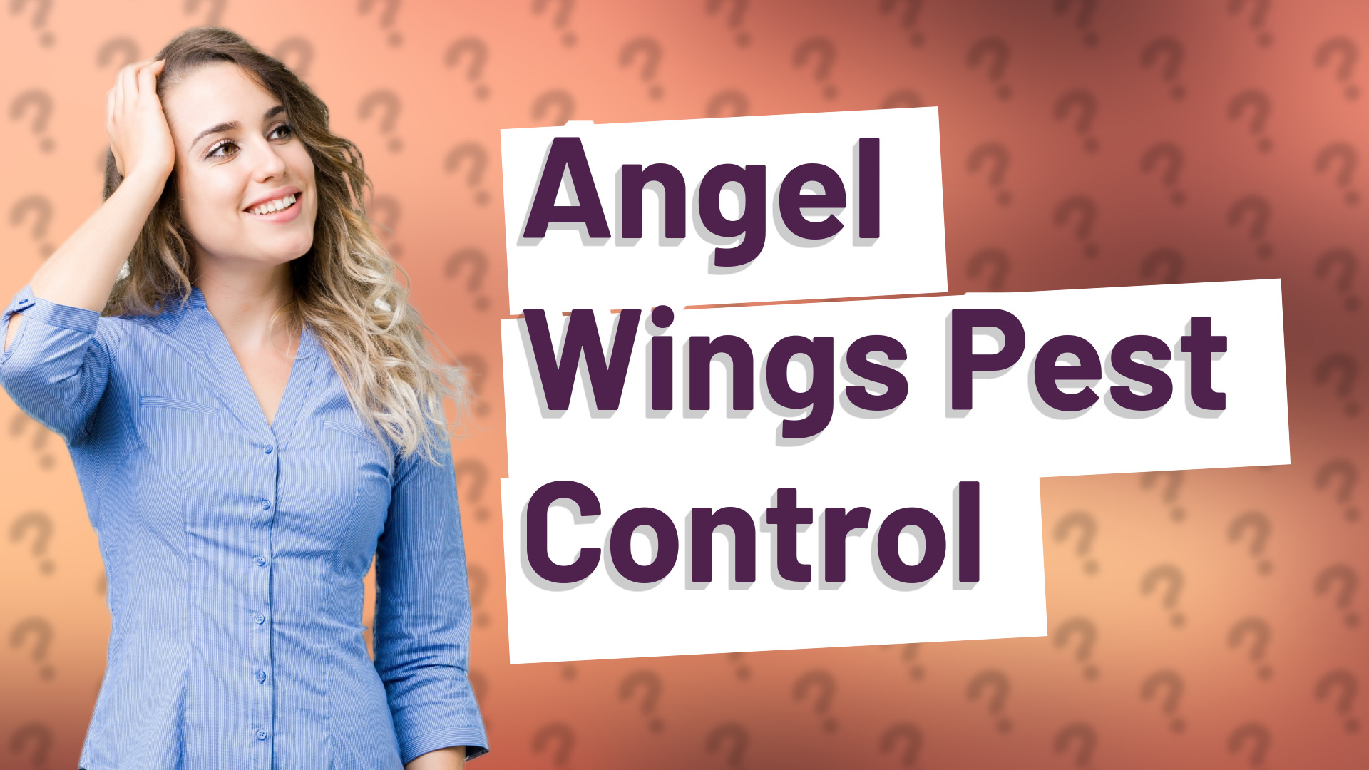 Angel Wings Pest Control