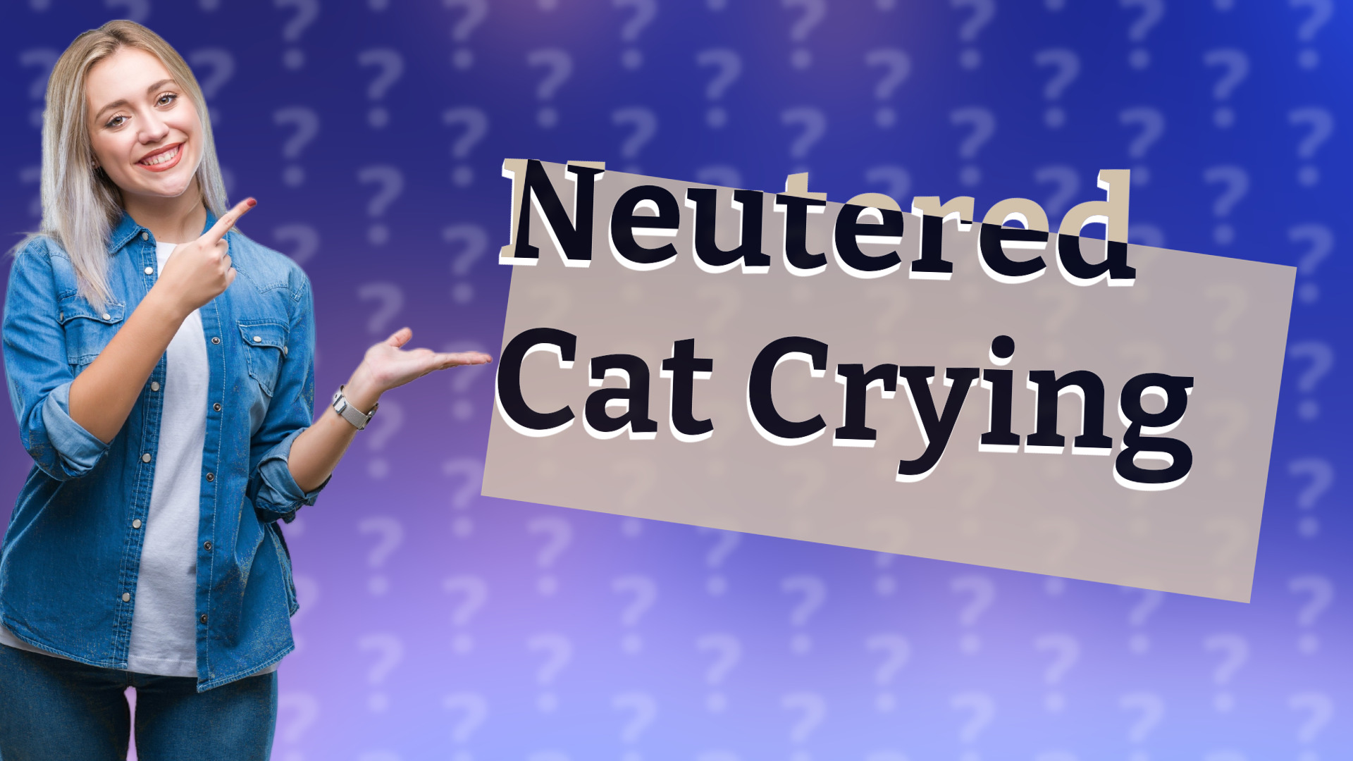 Neutered Cat Crying