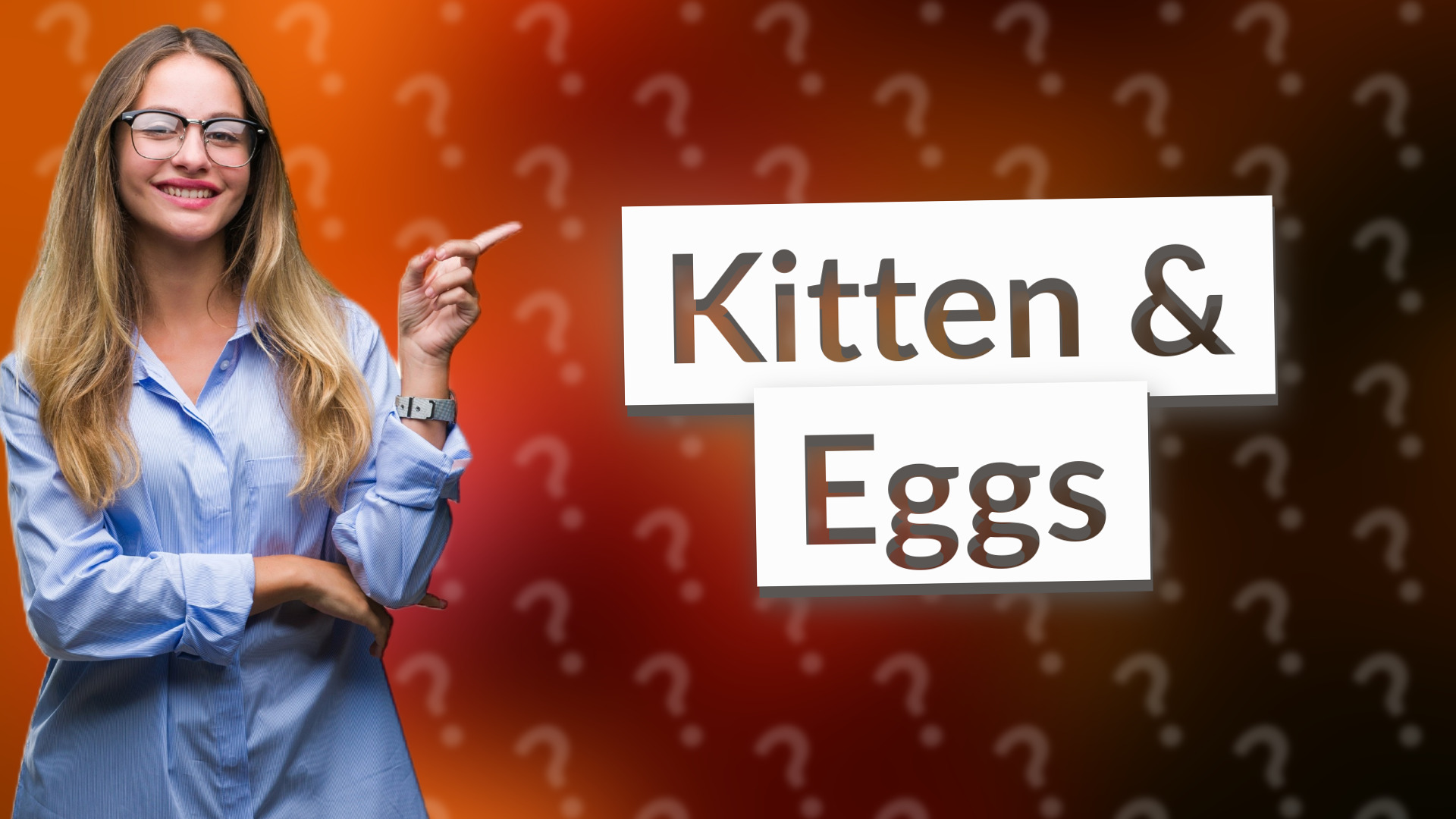 Kitten & Eggs