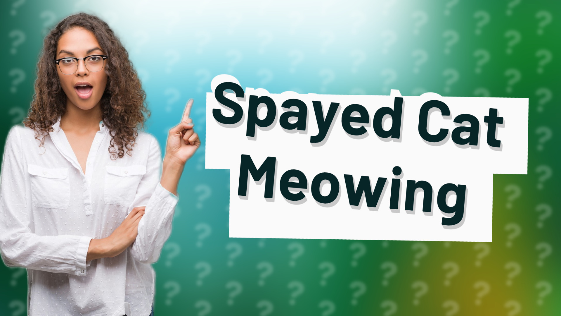 Spayed Cat Meowing