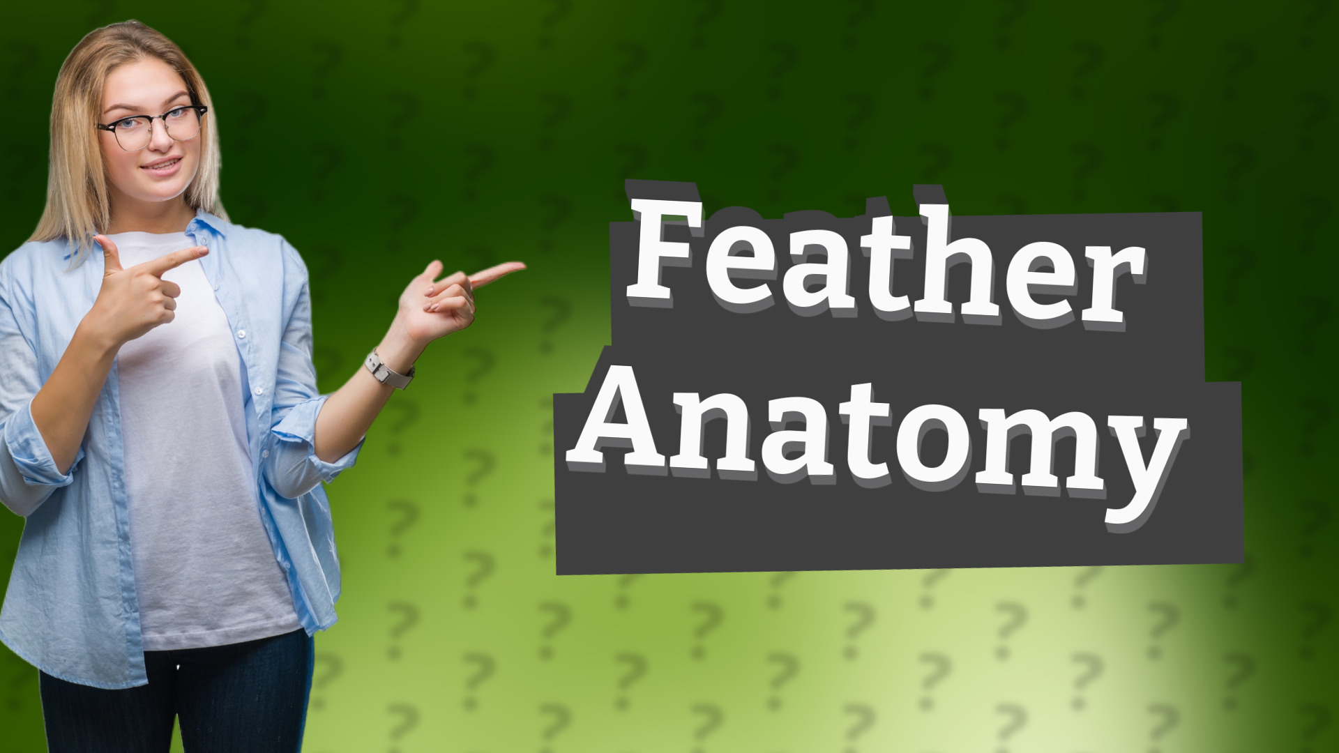 Feather Anatomy