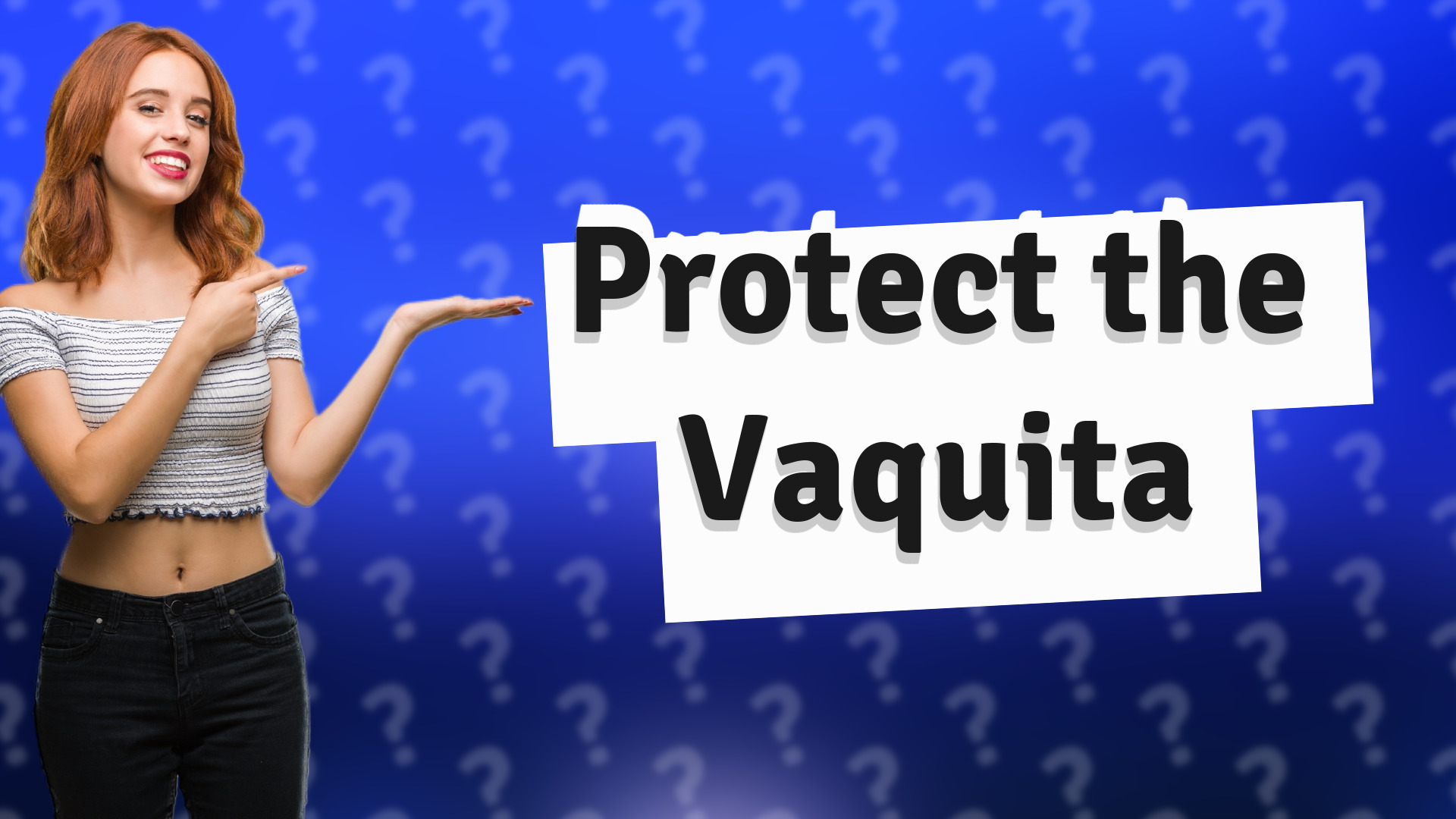Protect the Vaquita
