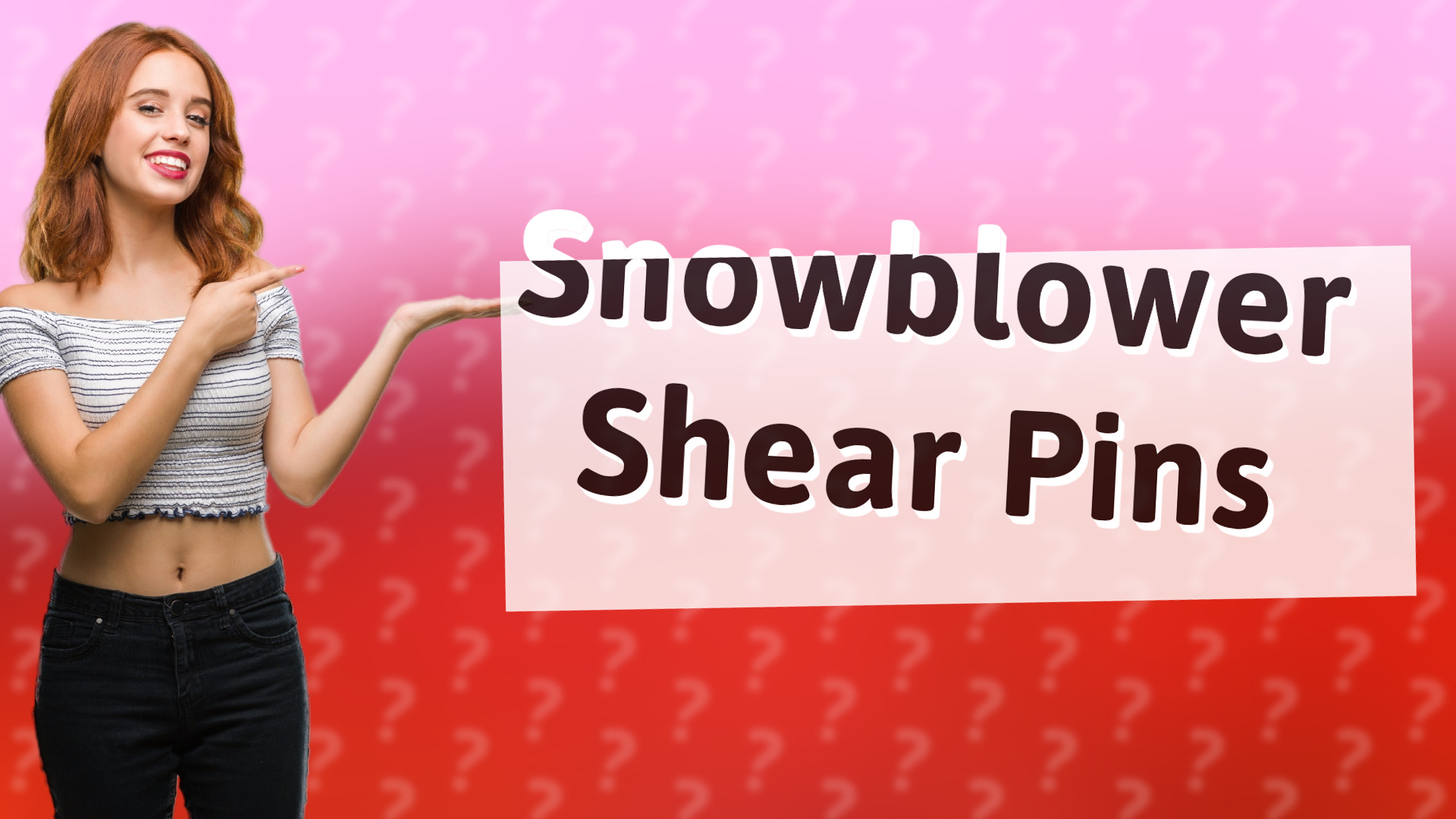 Snowblower Shear Pins