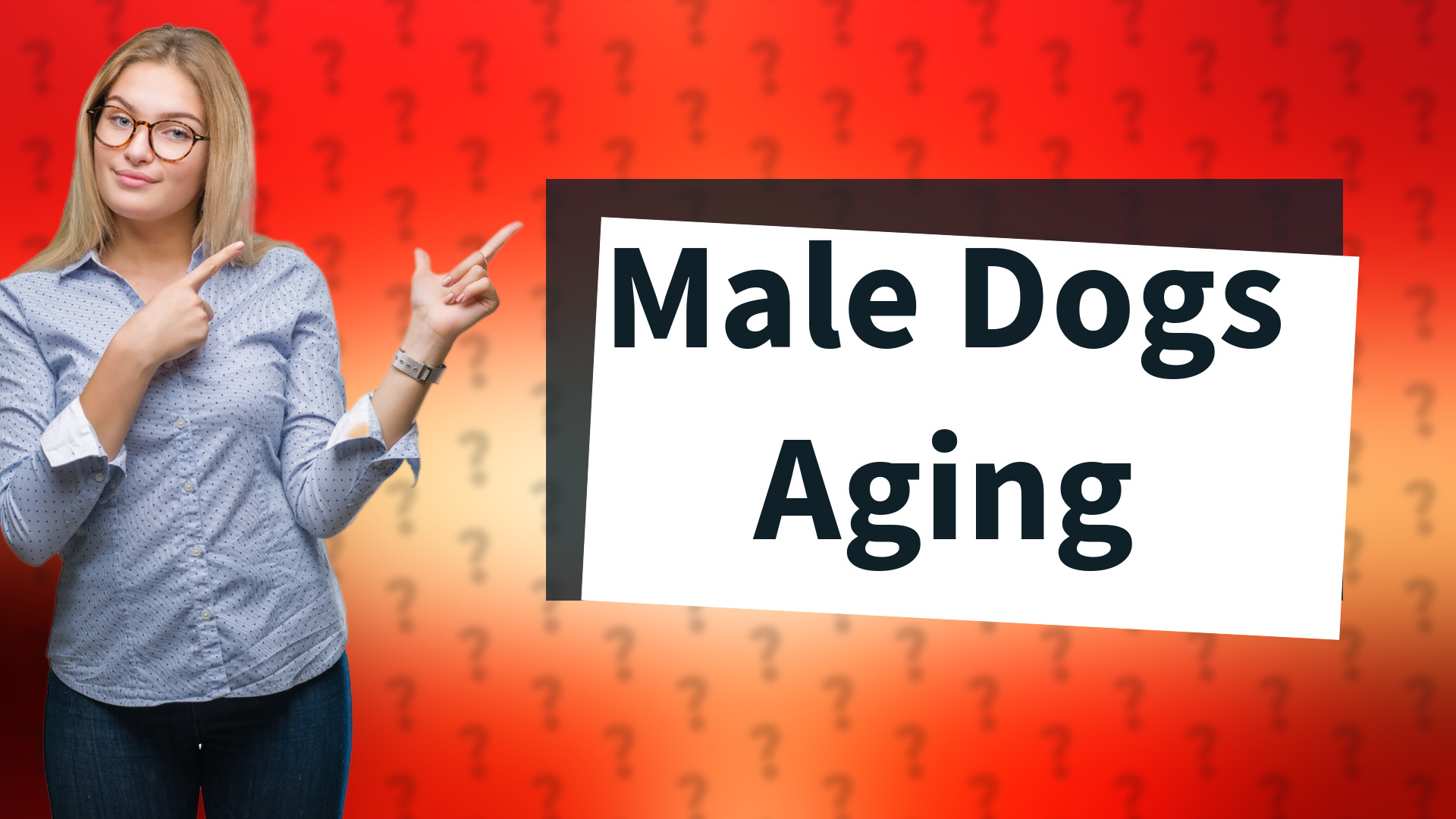 Male Dogs Aging