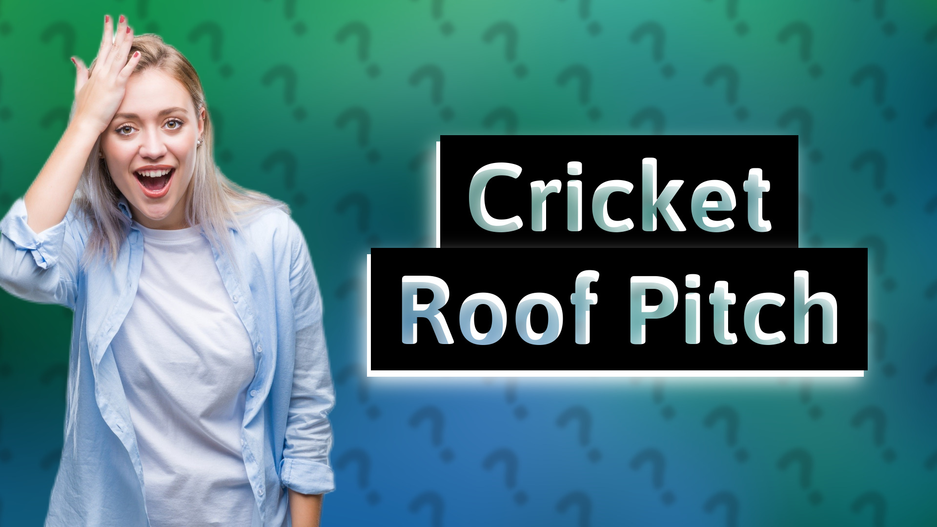 Cricket Roof Pitch