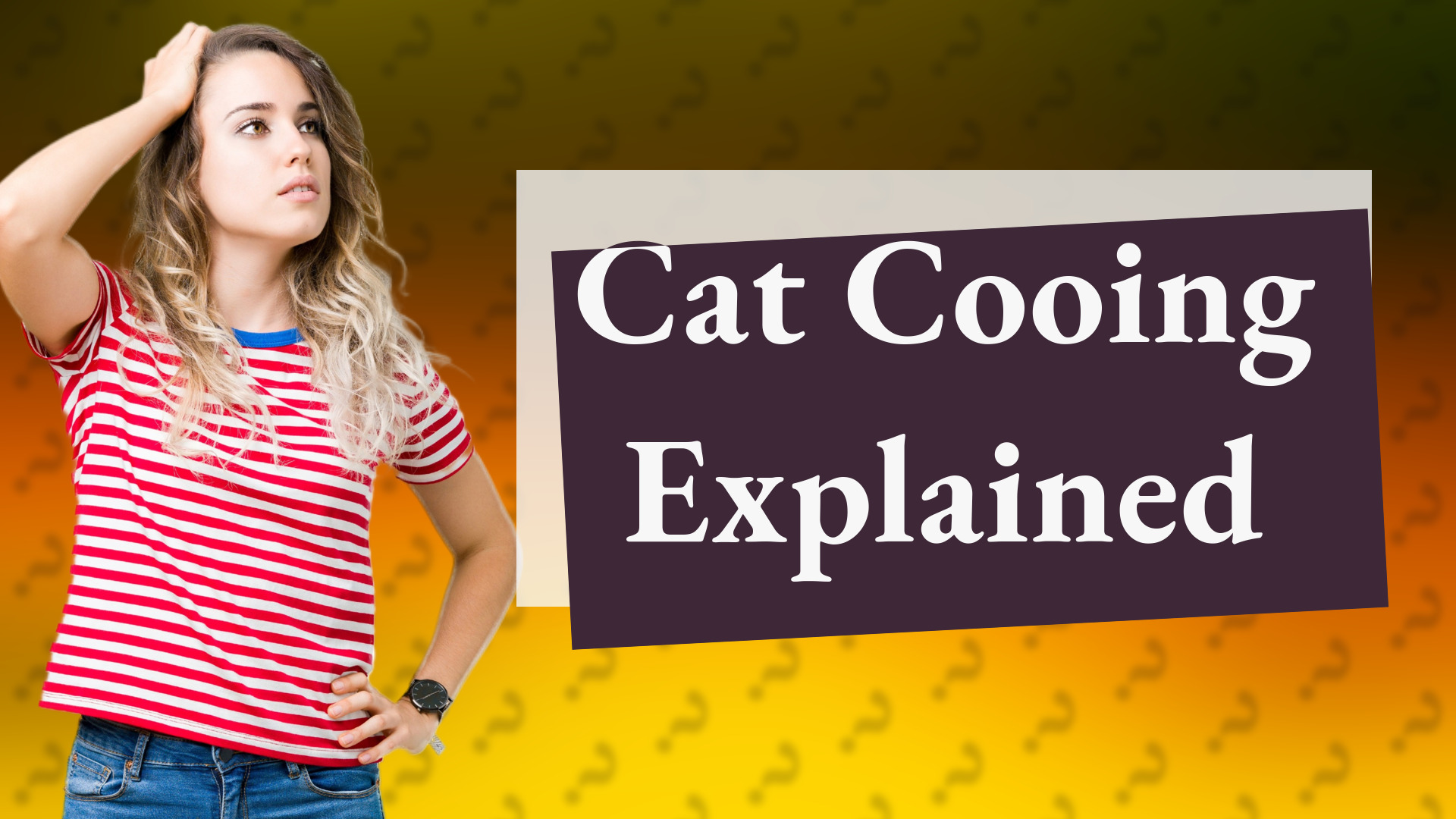 Cat Cooing Explained